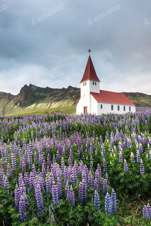 Preview: Myrdal