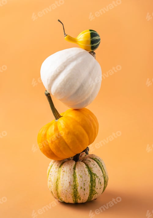 Preview: several small decorative multicolored pumpkins on an orange background
