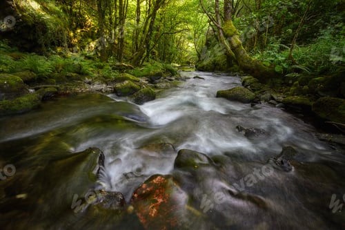 Preview: River of Calm Waters with Greenish Atmosphere