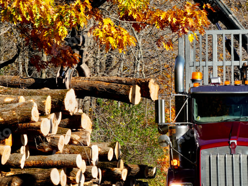 Preview: Logging truck