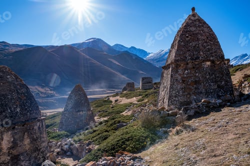Preview: Tree and medieval tombs in City of Dead near Eltyulbyu, Russia