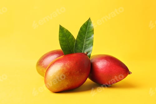 Preview: Composition with fresh mango on color background