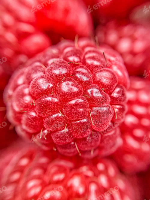 Preview: berry