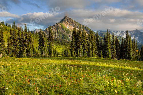 Preview: Mountains in Washington