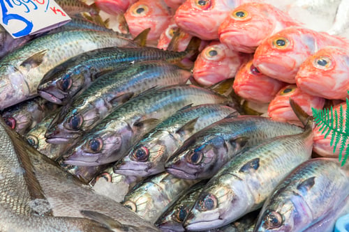 Preview: Fresh fish for sale at a market