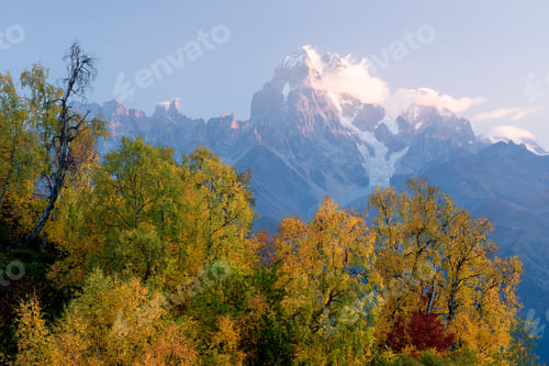 Preview: Autumn Landscape with birch forest and mountain peak Ushba