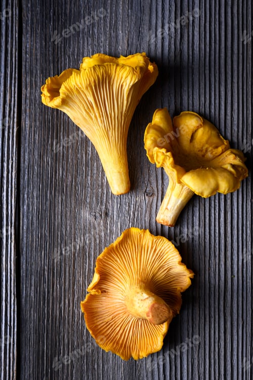 Vista previa: Three fresh chanterelle mushrooms on a rustic wooden table
