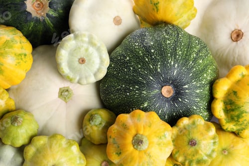 Preview: Fresh ripe pattypan squashes as background, top view