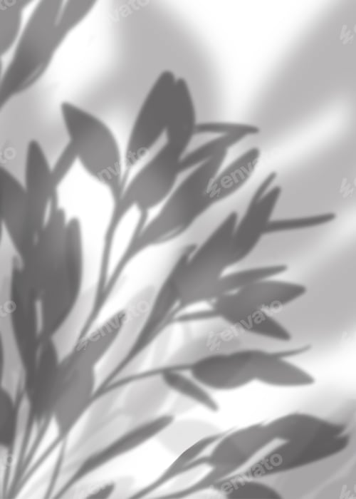 Preview: Leaves shadow overlay on white background,Natural branches leaves overlay