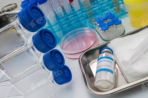 Preview: Ceftriaxone vial, is a broad spectrum cephalosporin for parenteral use