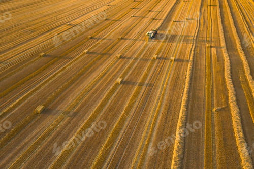 Preview: Aerial view of cereal fields after the harvest. There is haystack and tractor tread