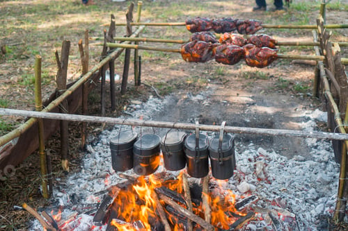 Preview: grilled Chicken on field