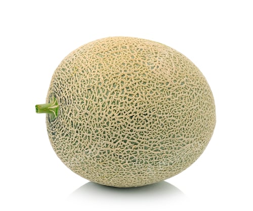 Preview: melon on white background
