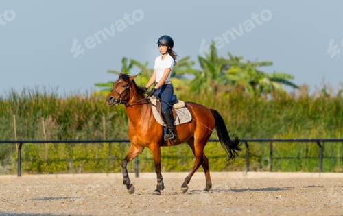 Preview: Side view of teen girl ride brown horse in racecourse with warm day light and she look happiness.