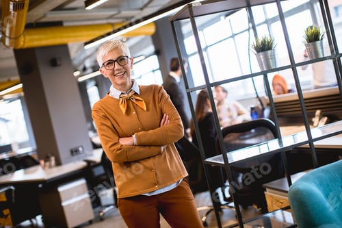 Preview: Senior businesswoman standing in office