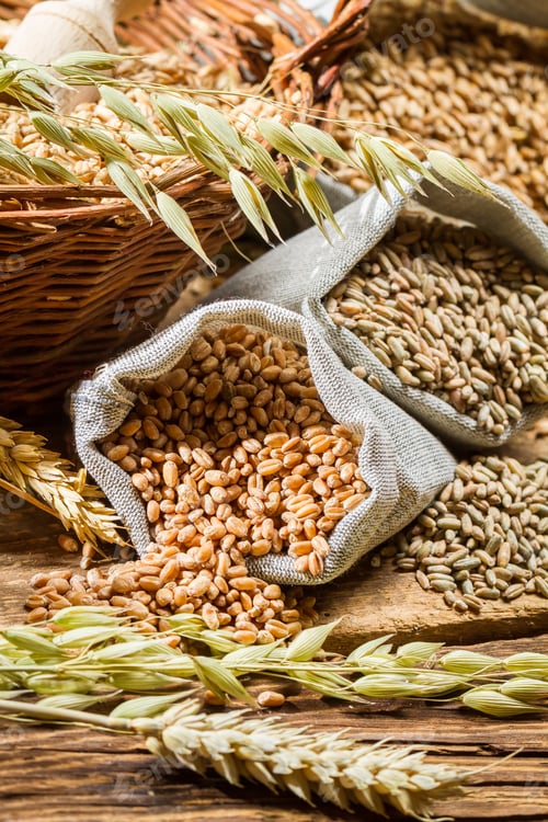 Preview: Rye, barley and wheat are the basis for good bread