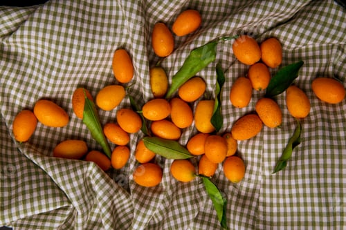 Preview: top view of fresh ripe kumquat fruits with green leaves on plaid fabric background