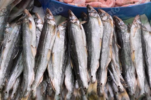 Preview: Close-Up View of Dried Salted Smelt Fish on Counter at Fish Market