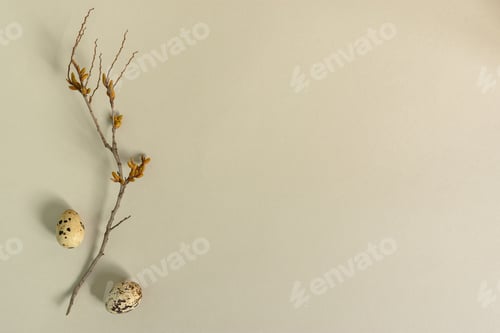 Preview: Easter eggs aesthetics of still life.