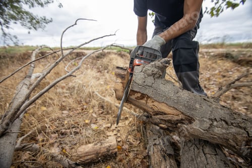 Preview: Closeup of a lumberjack with a chainsaw in a forest
