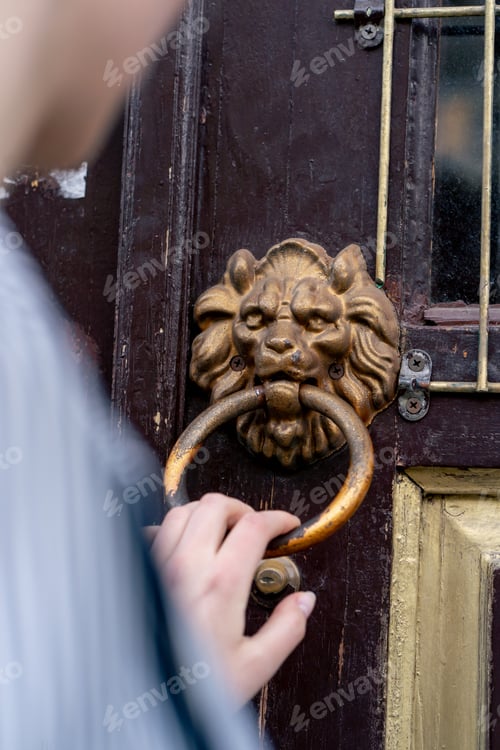 Preview: close up antique antique door with gilding with manual bell in the shape of a lion with a ring in