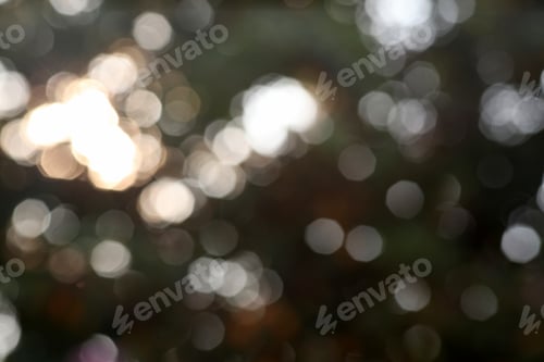 Preview: Abstract Nature Background Of Sun And Leaves - Softly Blurred Nature Background Of The Sun Shining