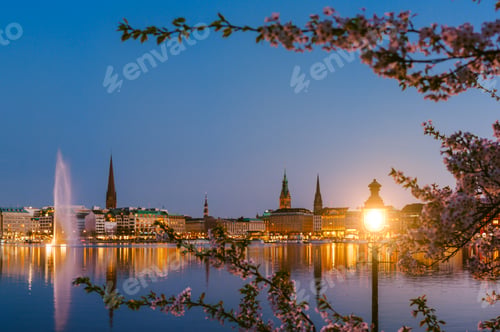 Preview: Burn lantern between branches of cherry blossom flowers on calm and beautiful Alster river and