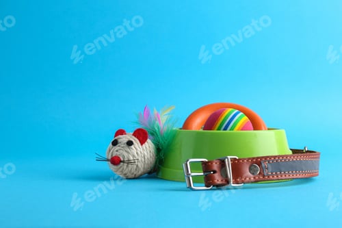 Preview: Pet toys, collar and feeding bowl on light blue background, space for text