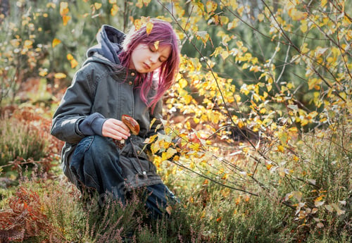 Preview: Girl with pink hair foraging mushrooms in autumn forest