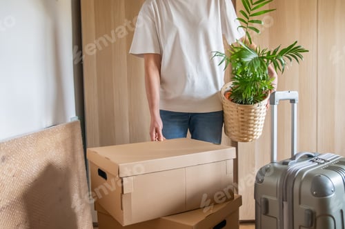 Preview: Person preparing for moving house, holding plant