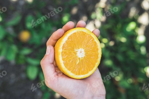 Preview: The boy is holding a half of a juicy orange in his hands.