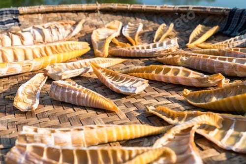 Preview: bamboo shoots of the drying