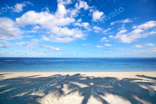 Preview: Tropical beach