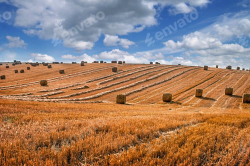 Preview: straw bales, lines and slopes on field after harvest
