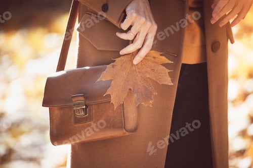 Preview: autumn in the city