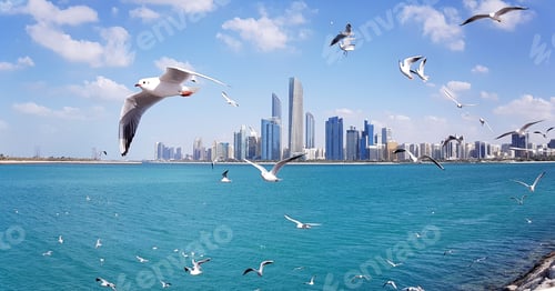 Preview: Abu Dhabi skyline with seagulls flying around