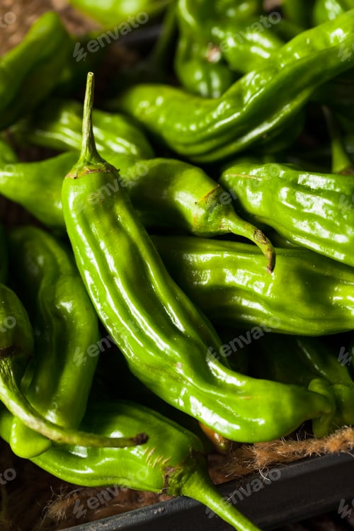 Preview: Raw Organic Green Shashito Peppers