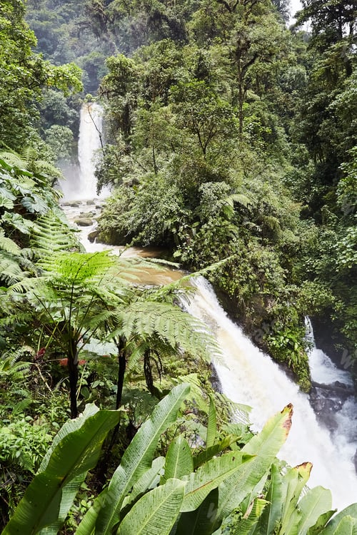 Preview: Waterfall in beautiful rainforest