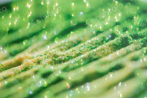 Preview: Abstract glitter lights colorful bokeh background in green,gold and yellow color tones