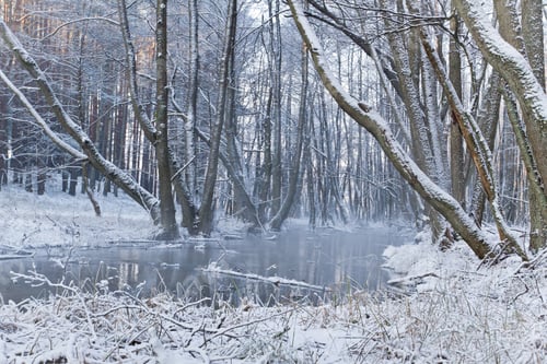 Preview: Foggy cols river at winter