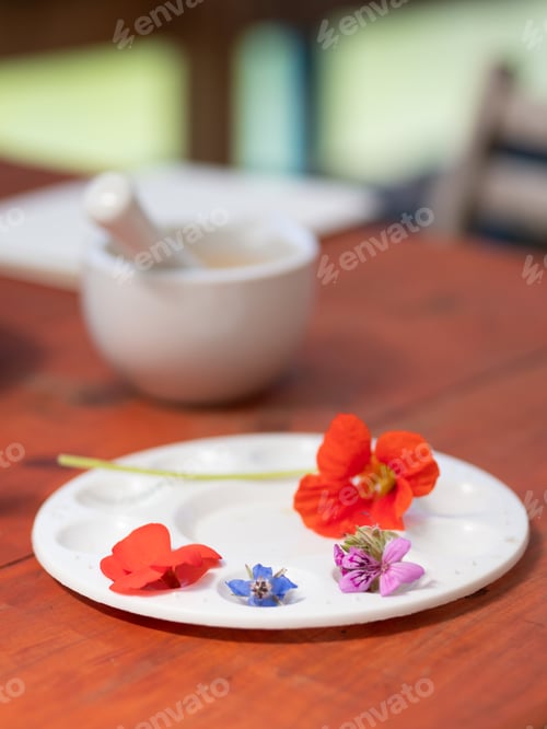 Preview: Preparing natural inks and pigments with flowers and vegetables