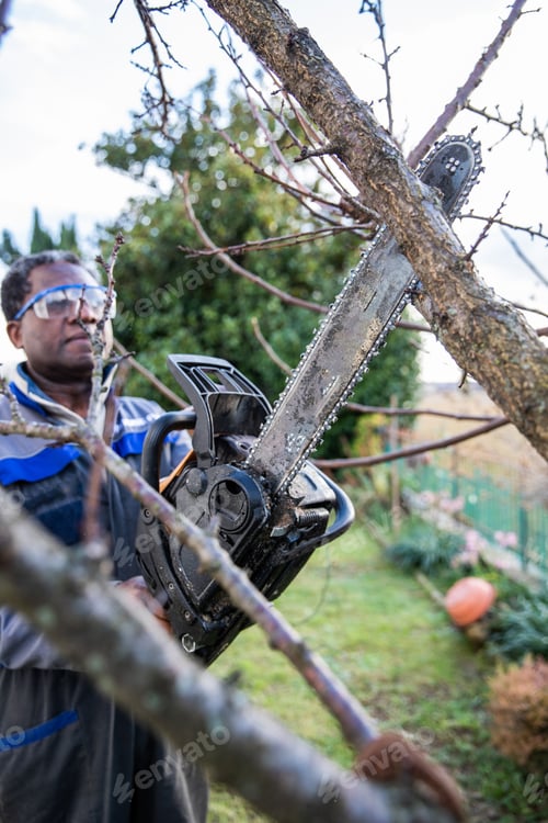 Preview: A woodcutter cuts a branch wearing protective goggles