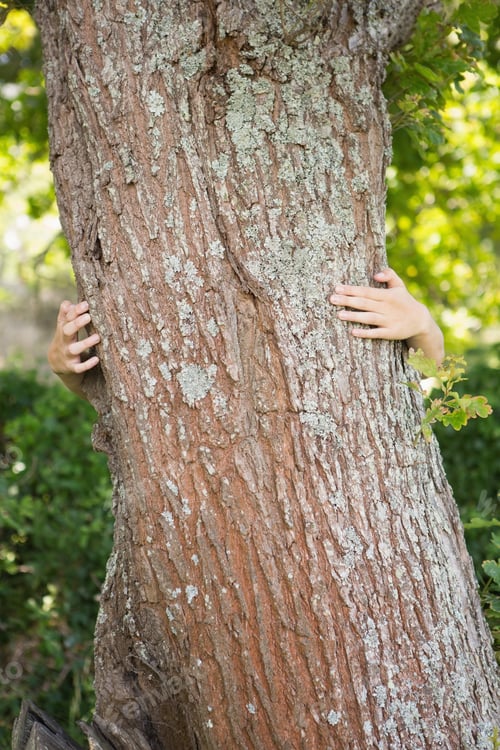 Preview: Woman hugging a tree on a sunny day