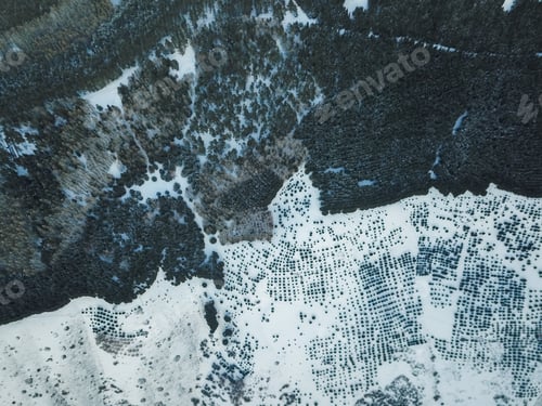 Preview: Snowy mountains with fir trees