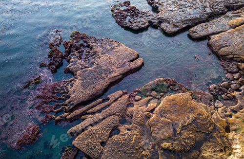 Preview: Aerial View of Rocky Coastline on Vancouver Island's Scenic West Coast