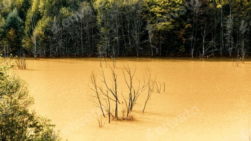 Preview: Environmental Problems