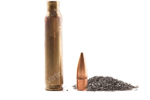 Preview: Bullet Shell and Powder