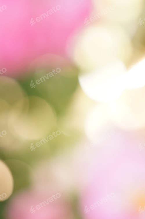 Preview: Bokeh Blur Vivid Background