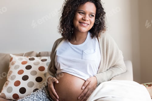 Preview: Pregnant Woman Relaxing on Couch in Her Home