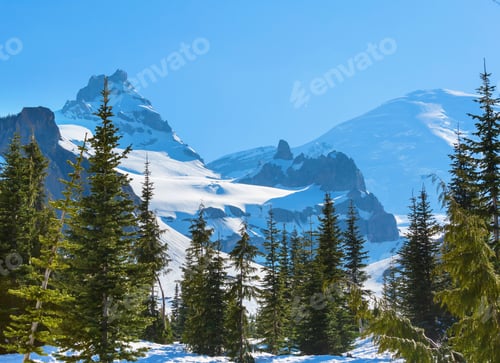 Preview: Mt Rainier in early summer